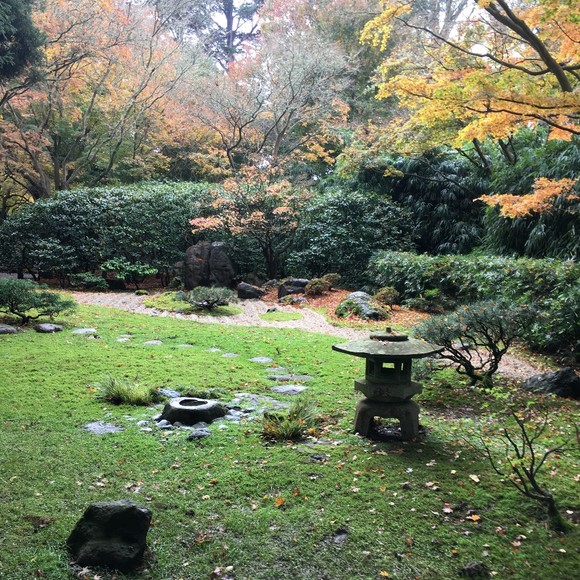 Meet your Posher, Mike - Picture 3 of 4